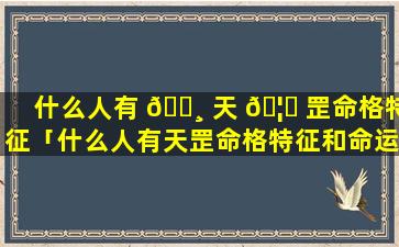 什么人有 🌸 天 🦍 罡命格特征「什么人有天罡命格特征和命运」